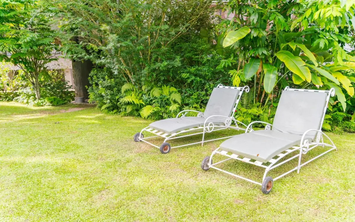 Metti uno spicchio d’aglio in giardino: ecco gli insetti fastidiosi che terrà lontani subito