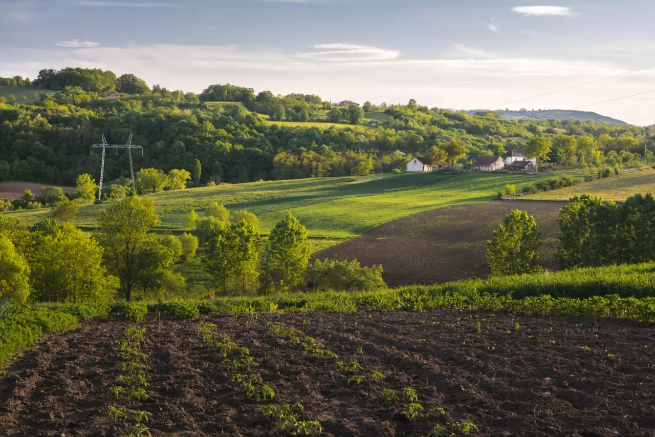 Il segreto per un terreno fertilissimo: aggiungi questo ingrediente comune del supermercato