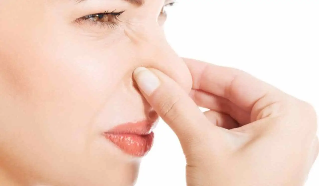 Puzza terribile che tutti gli insetti odiano: usa subito questo trucco naturale per allontanarli