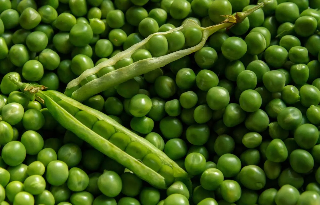Mangiare piselli gonfia la pancia o infiamma l’intestino? Ecco la verità