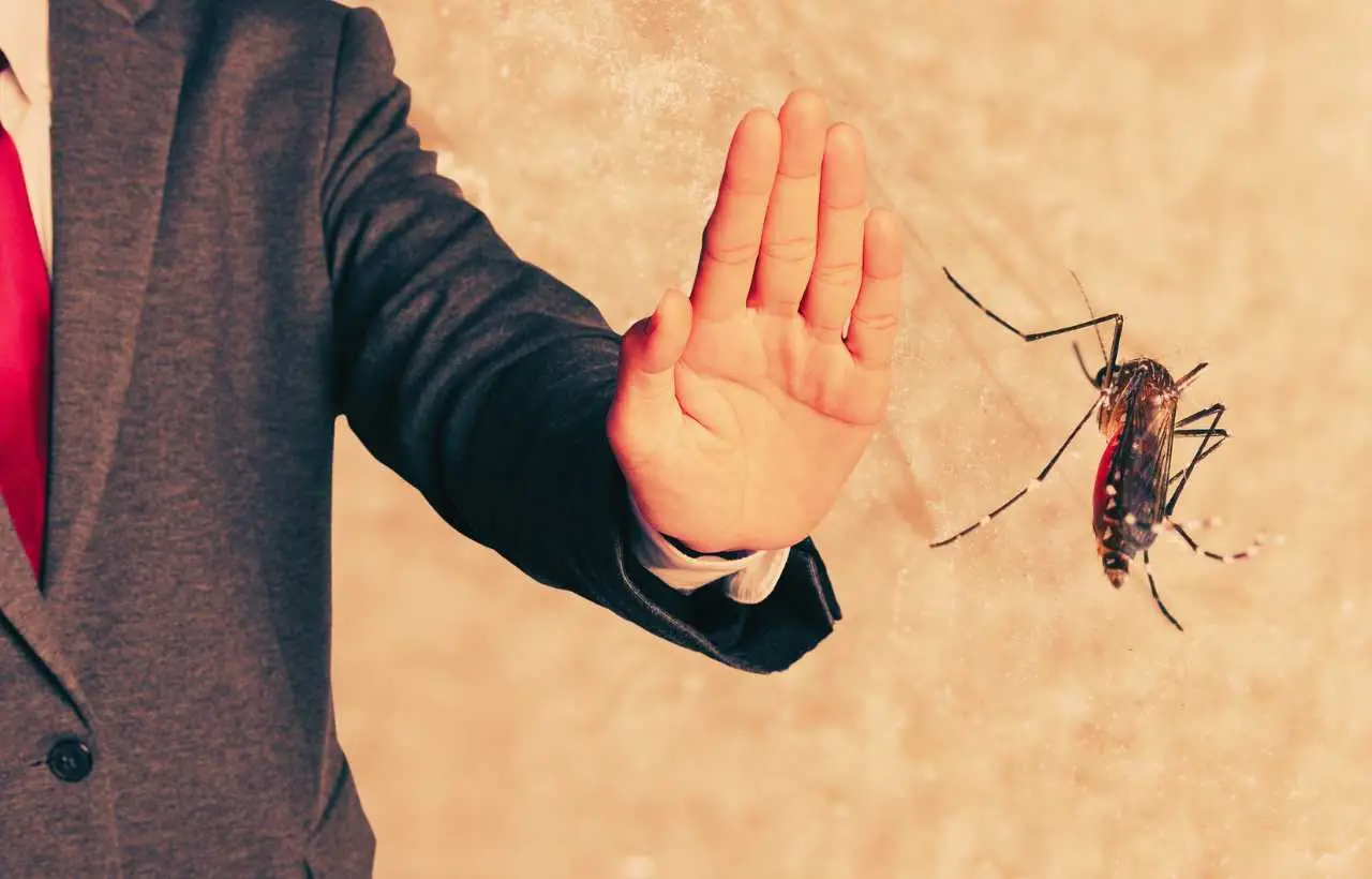 Il sorprendente colore di luce che tiene lontane le zanzare: ecco quale scegliere