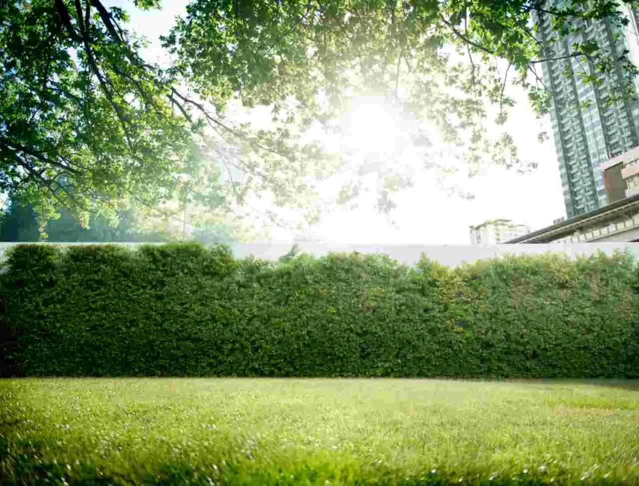 Possiedi il giardino condominiale? Ecco quanto influisce davvero sulle spese comuni e sul valore