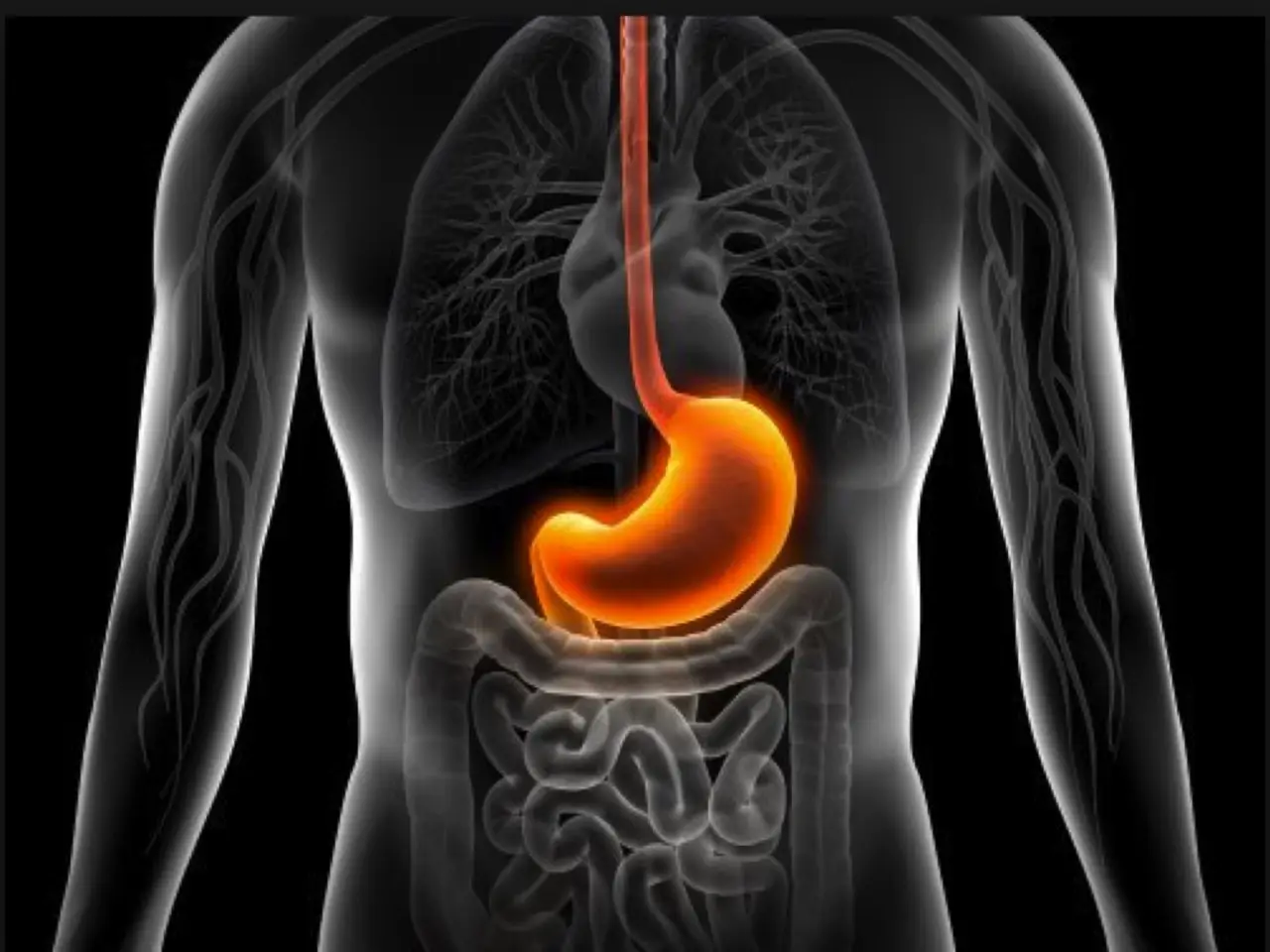 Stomaco gonfio e intestino bloccato? Ecco quando i fermenti lattici non bastano e cosa fare